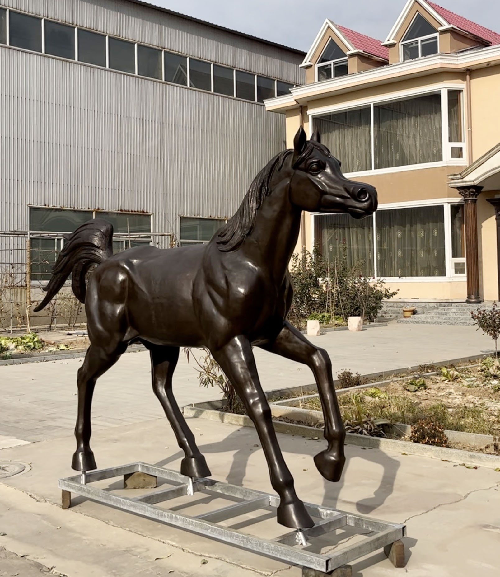 Arabian horse
