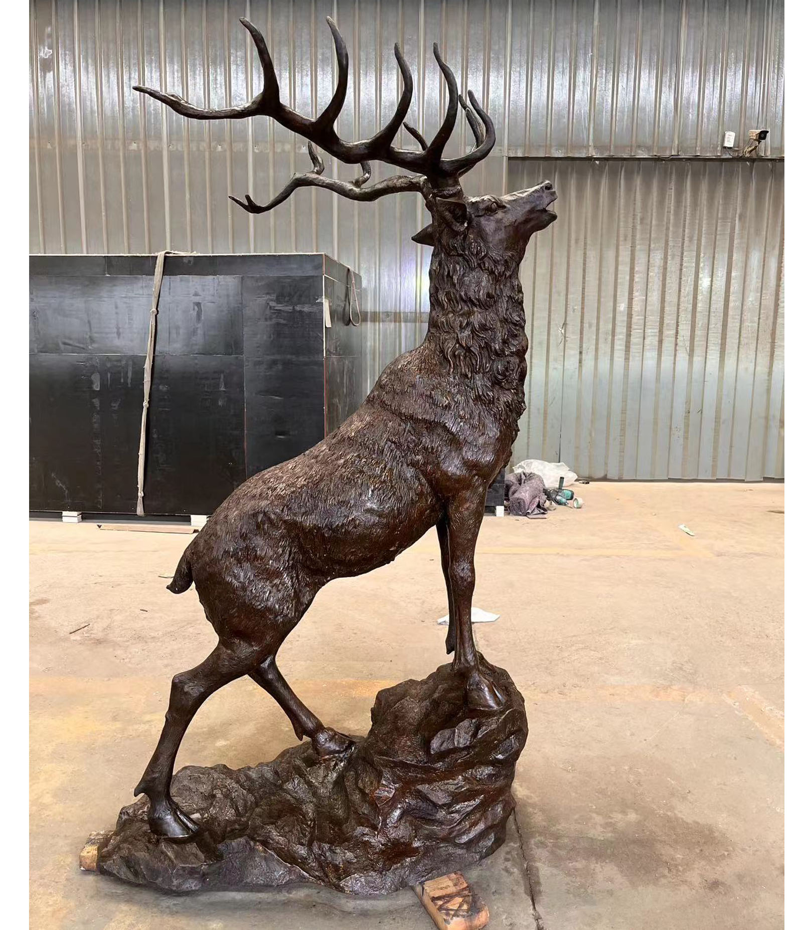 Bucks