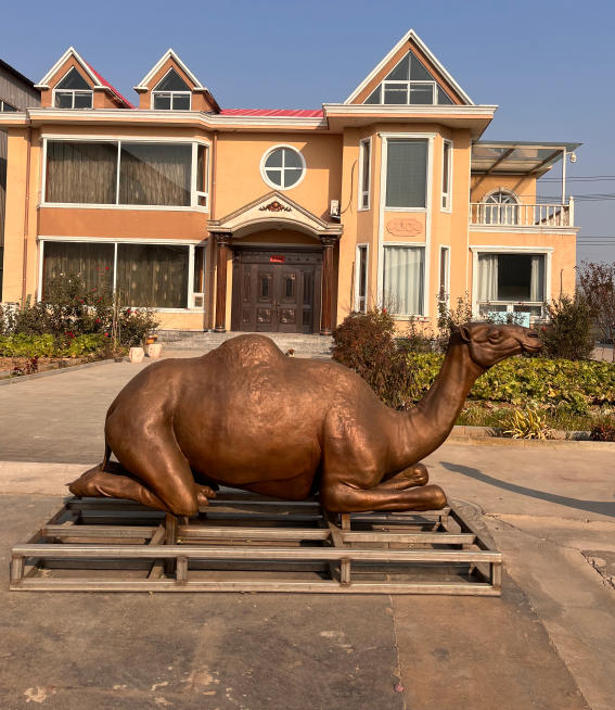 Camel