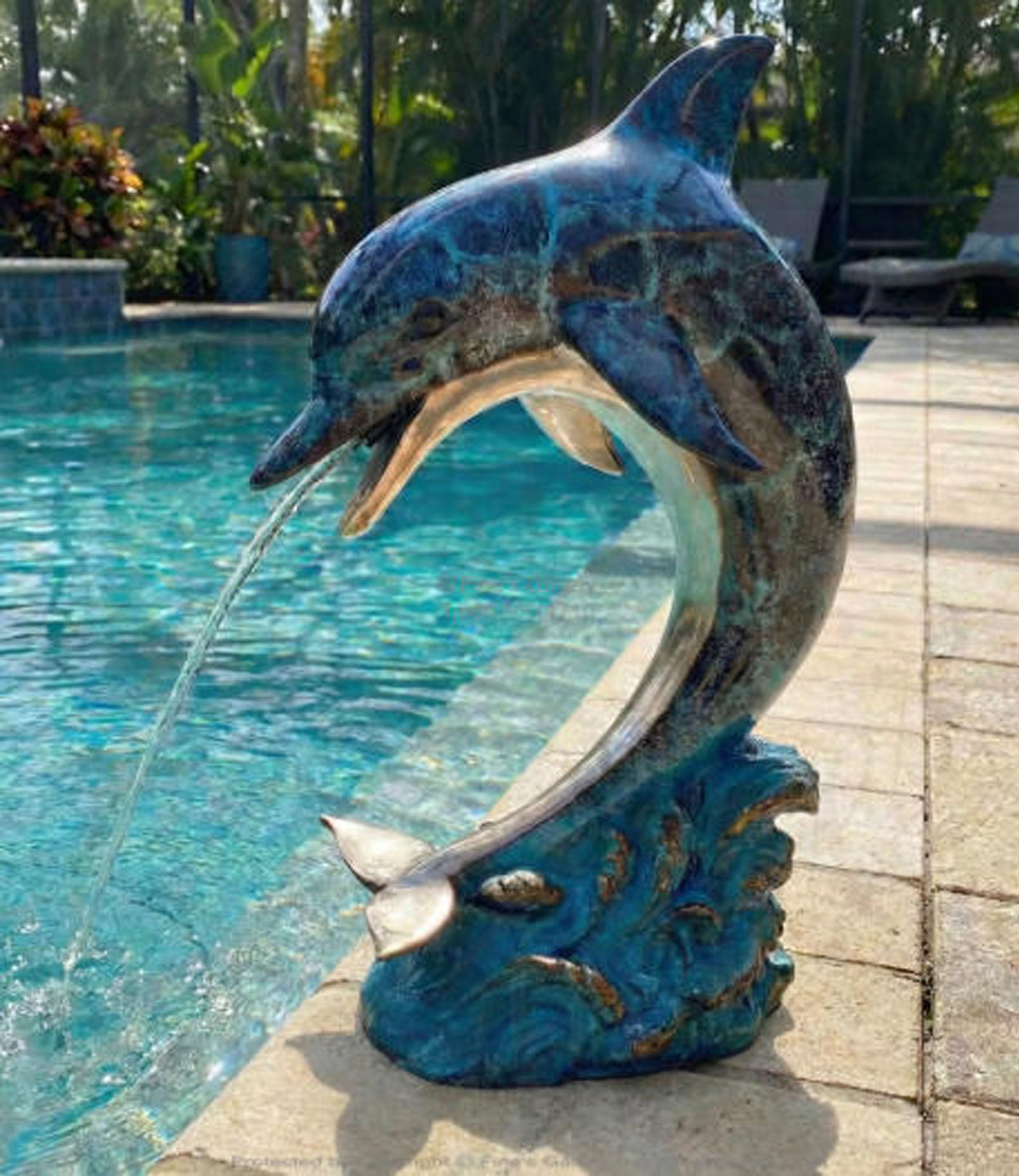 Dolphin