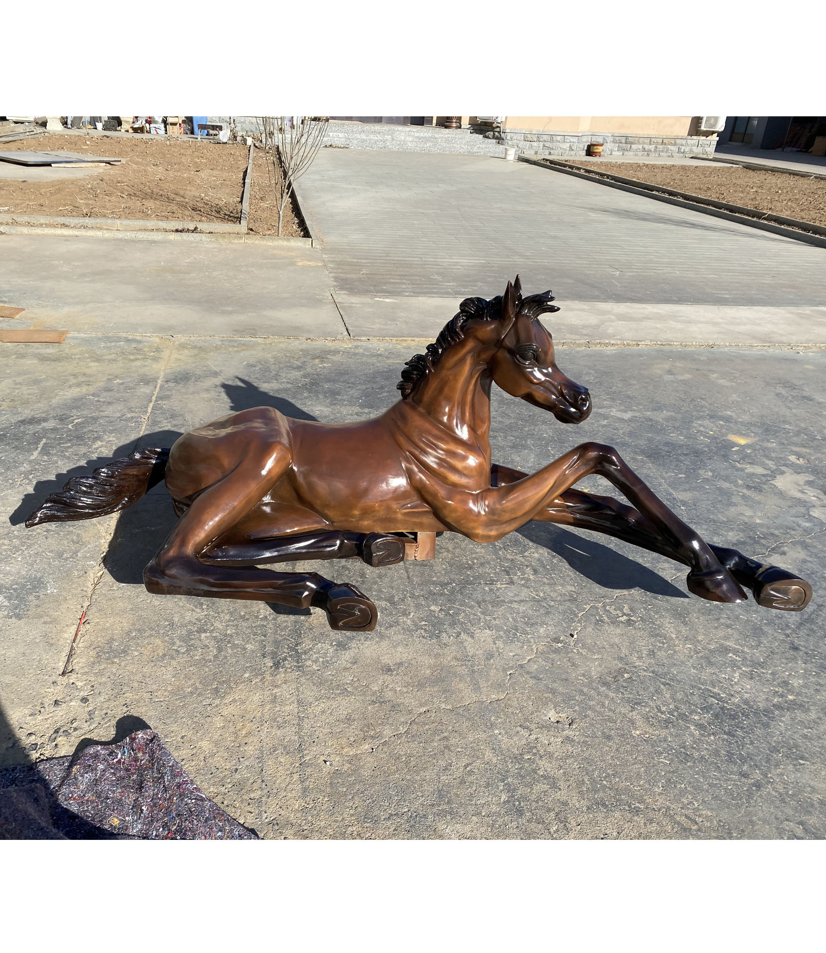 Arabian horse
