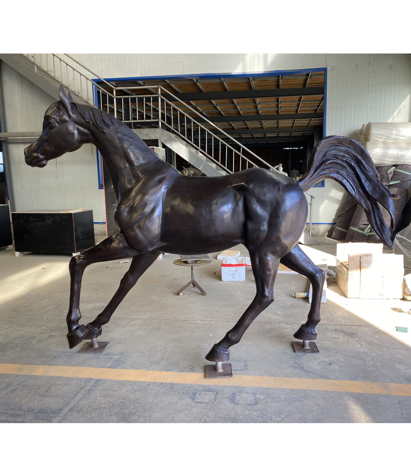Arabian horse