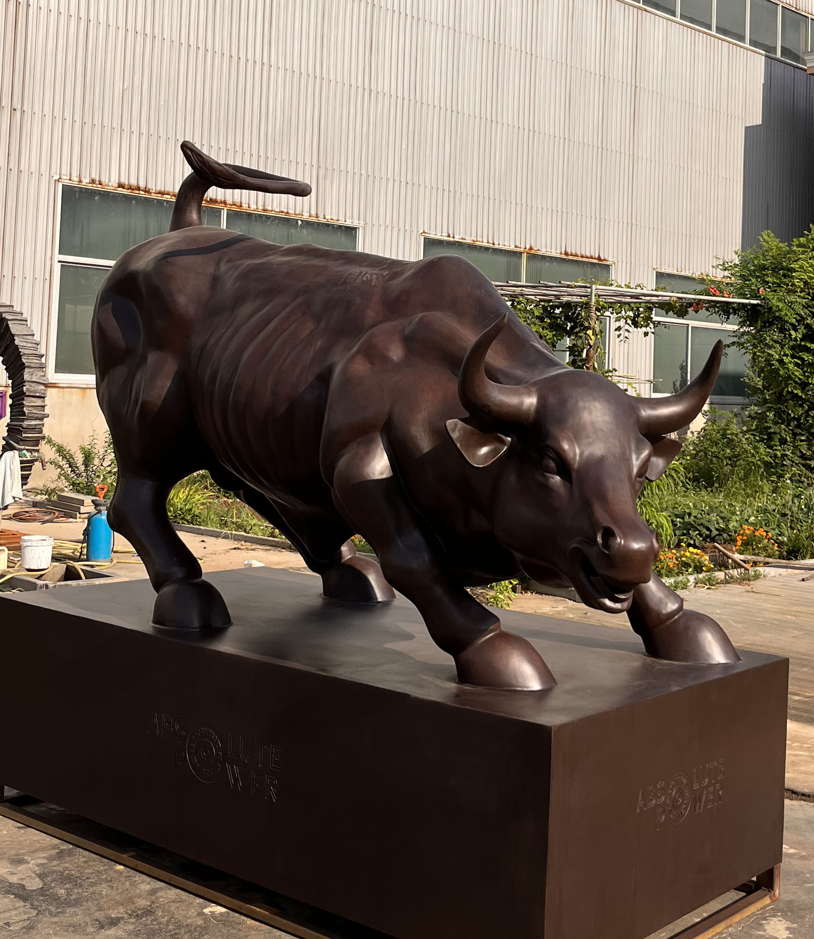 Bull