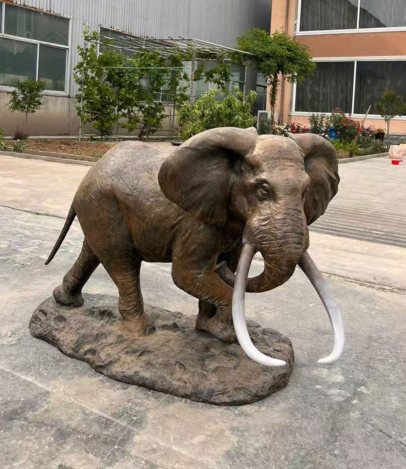 Elephant