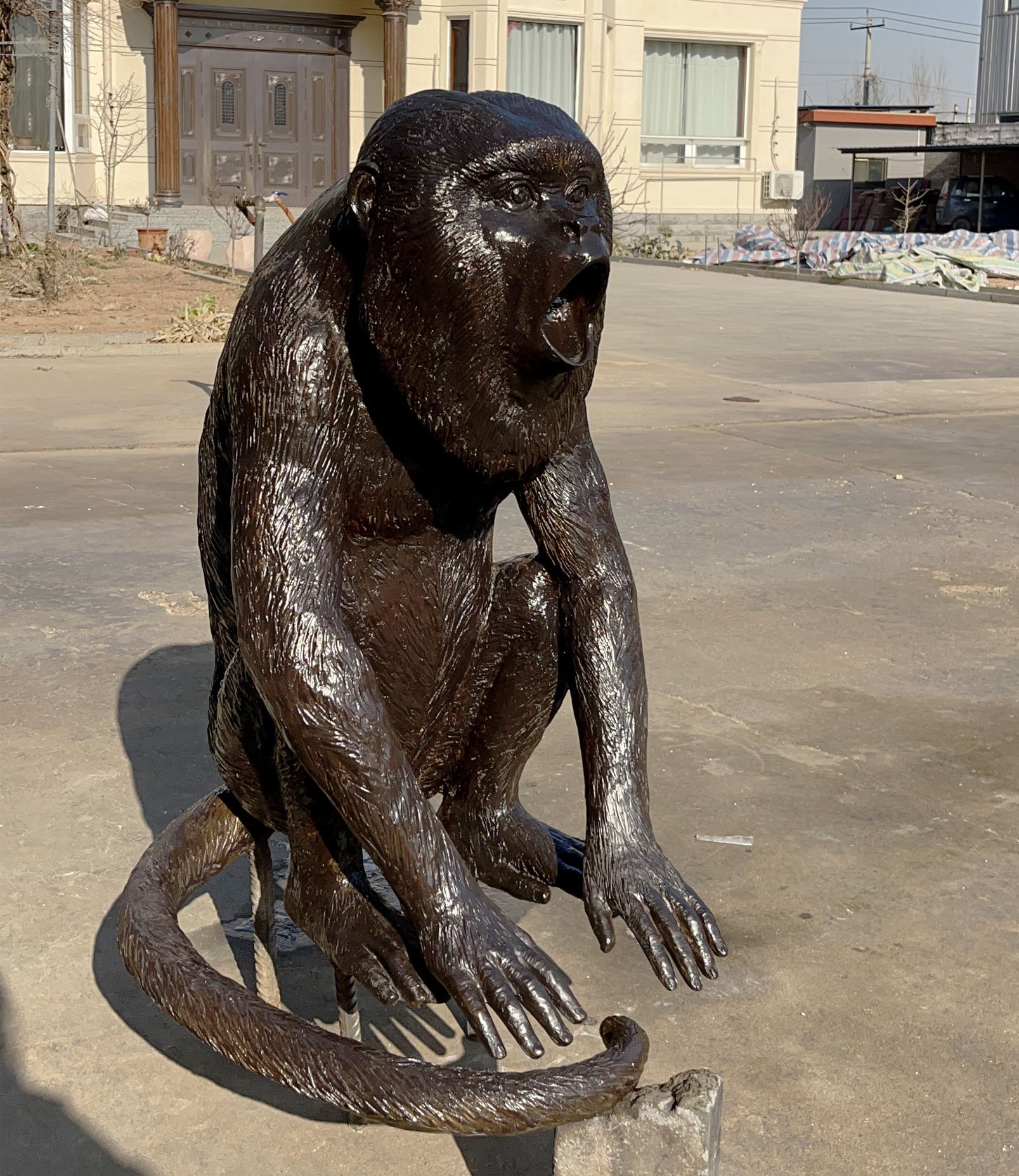 Monkey