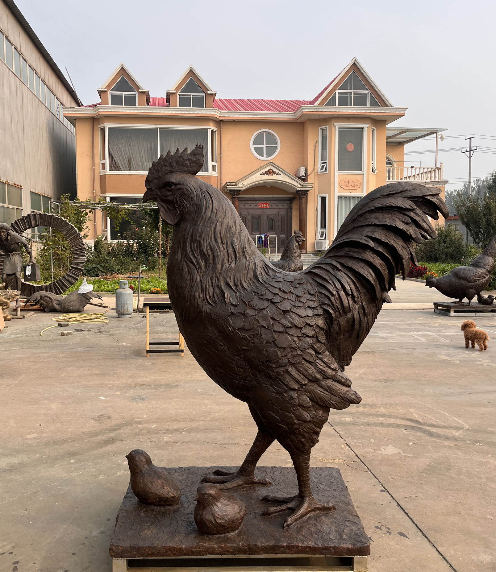 Rooster