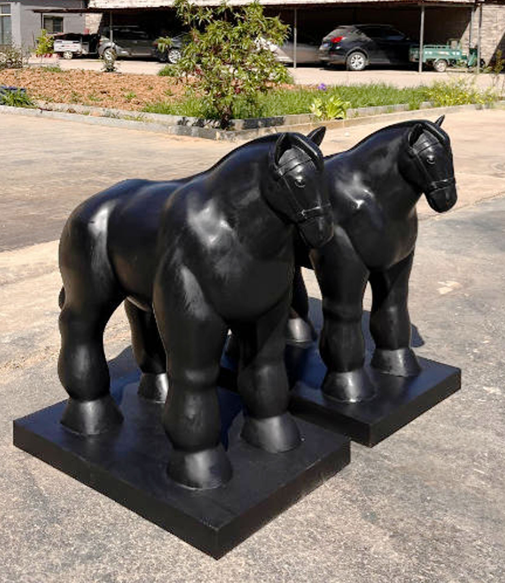 Horse